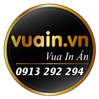 logo vuain