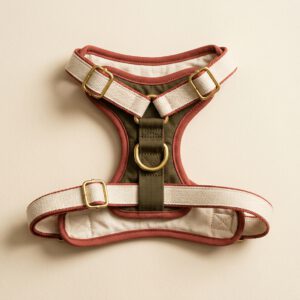 Curlpup Original Harness Mk II laid flat — cream cotton webbing with terracotta trim, olive ripstop back panel and brass hardware